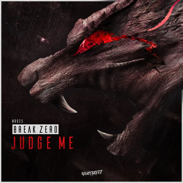 Judge Me - Radio Edit