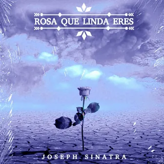 Rosa Que Linda Eres by Joseph Sinatra