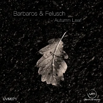 Autumn Leaf by Bodo Felusch