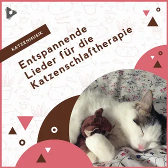 Entspannende Lieder für die Katzenschlaftherapie by Beruhigende Kätzchenmusik