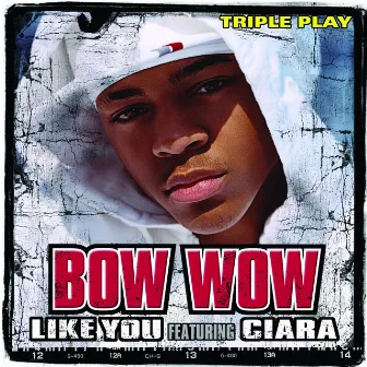 Like You (Triple Play) (feat. Ciara) by Bow Wow