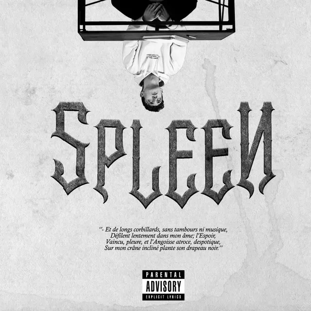 Spleen