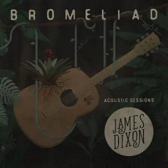 Bromeliad Acoustic Sessions by James Dixon