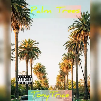 Palm Trees by Tony Trice