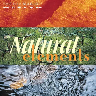 Natural Elements by Timothy Cross