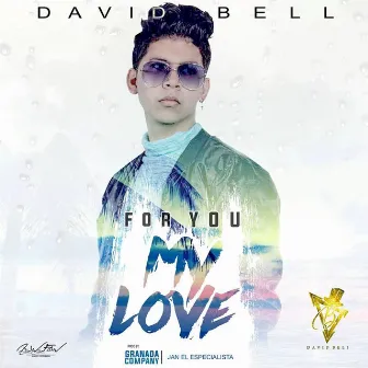 For You My Love by David Bell