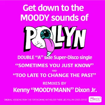 Sometimes You Just Know / To Late To Change The Past (The Moodymann Remixes) by Pollyn