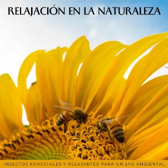 Relajación En La Naturaleza: Insectos Forestales Y Relajantes Para Un Spa Ambiental by 