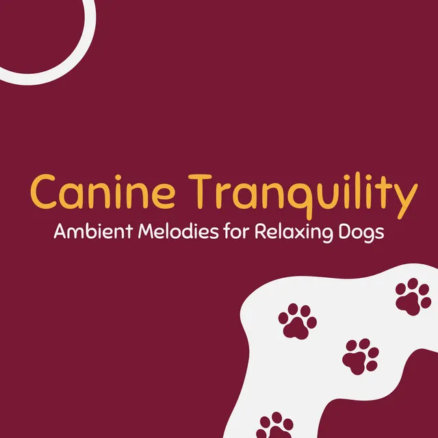 Canine Tranquility: Ambient Melodies for Relaxing Dogs