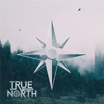 The Sky, the Lie, and Who We Are Before We Die by True North