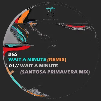 Wait A Minute (Santosa Primavera Mix) by B&S