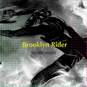 Seven Steps by Brooklyn Rider