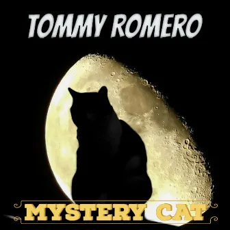 Mystery Cat by Tommy Romero