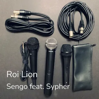 Roi Lion by Sengo