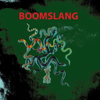 Boomslang by Rich Halley