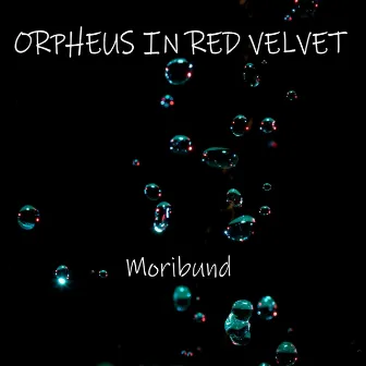 Moribund by Orpheus in red velvet