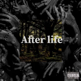 After Life by Tobi Laurent