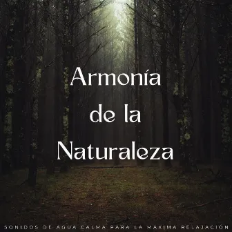 Armonía De La Naturaleza: Sonidos De Agua Calma Para La Máxima Relajación by Sonidos de aguas tranquilas