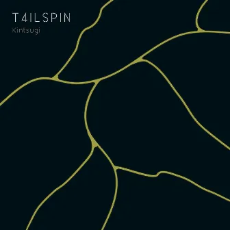 Kintsugi by T4ILSPIN