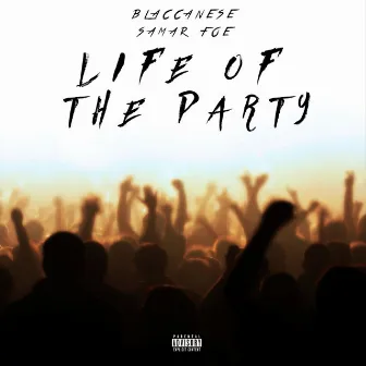 Life of the Party by Blaccanese