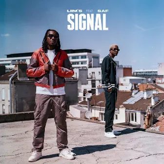 Signal by Liim’s