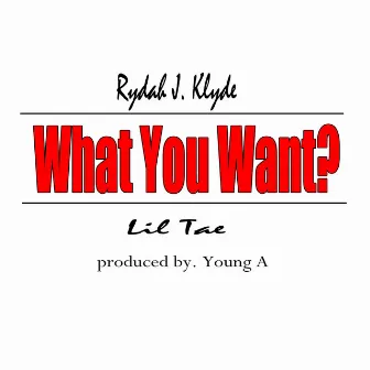 What You Want? - Single by Lil Tae