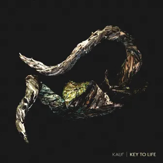 Key to Life by Kauf