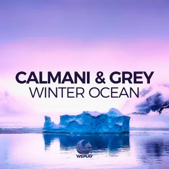 Winter Ocean by Calmani & Grey