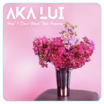 Hey! I Don't Want That Anyway by AKA Lui