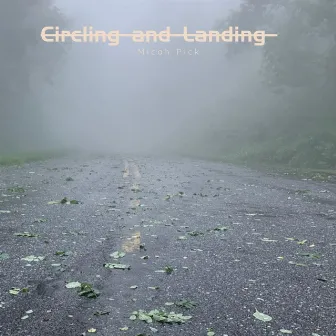 Circling and Landing by Micah Pick