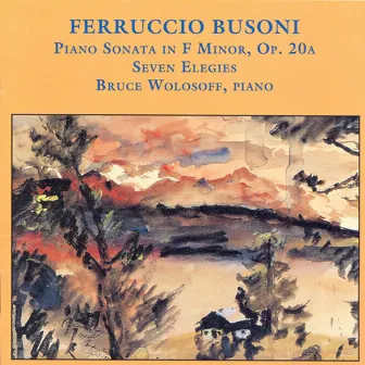 Busoni: Piano Sonata in F Minor / Elegien / Berceuse by Bruce Wolosoff