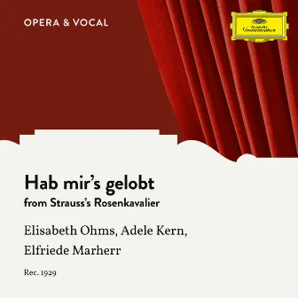 Strauss: Der Rosenkavalier, Op. 59, TrV 227: Hab mir's gelobt by Julius Pruwer