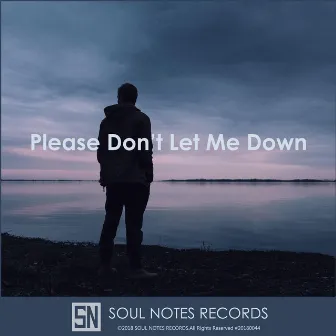 Please Don't Let Me Down by 杨世贸