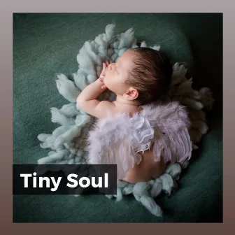 Tiny Soul by Relaxing Baby Sleeping Songs