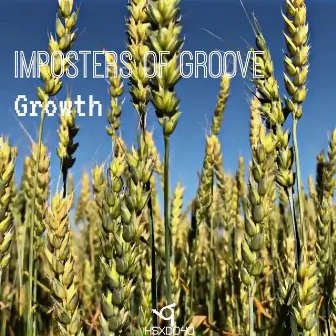 Growth by Imposters Of Groove