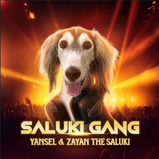 Saluki Gang