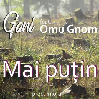 Mai putin by Gani