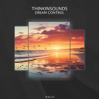 Dream Control by thinkinsounds