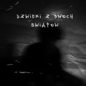 DŹWIĘKI Z DWÓCH ŚWIATÓW by PLATINI