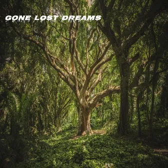 Gone Lost Dreams by Don Beck