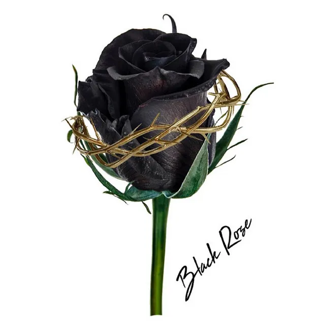 Black Rose