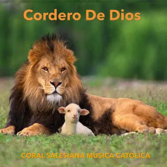 Cordero de Dios by Unknown Artist