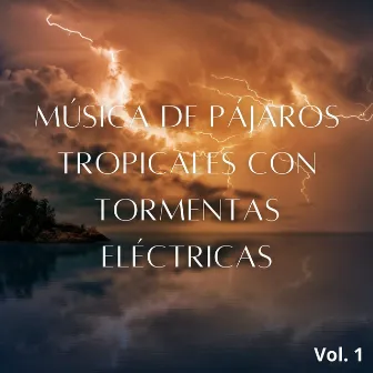 Música De Pájaros Tropicales Con Tormentas Eléctricas Vol. 1 by Pajaros Exoticos