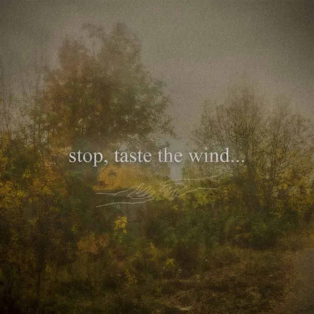 stop, taste the wind...