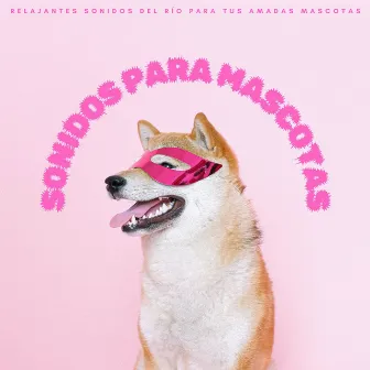 Sonidos Para Mascotas: Relajantes Sonidos Del Río Para Tus Amadas Mascotas by Música calmante para gatos