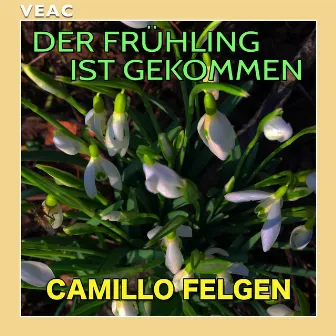 Der Frühling ist gekommen by Camillo Felgen