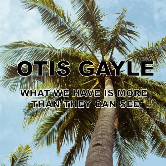 What We Have Is More Than They Can See by Otis Gayle