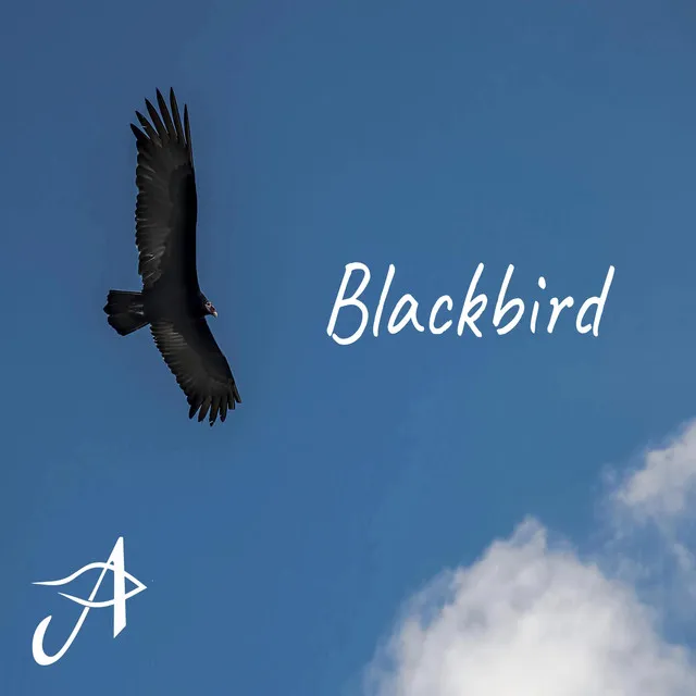 Blackbird