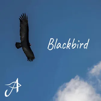 Blackbird by The Ayoub Sisters