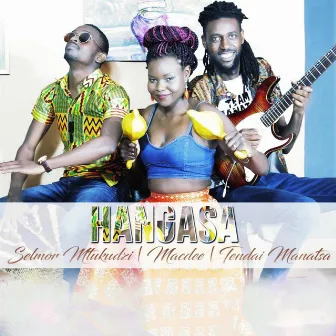 Hangasa by Selmor Mtukudzi